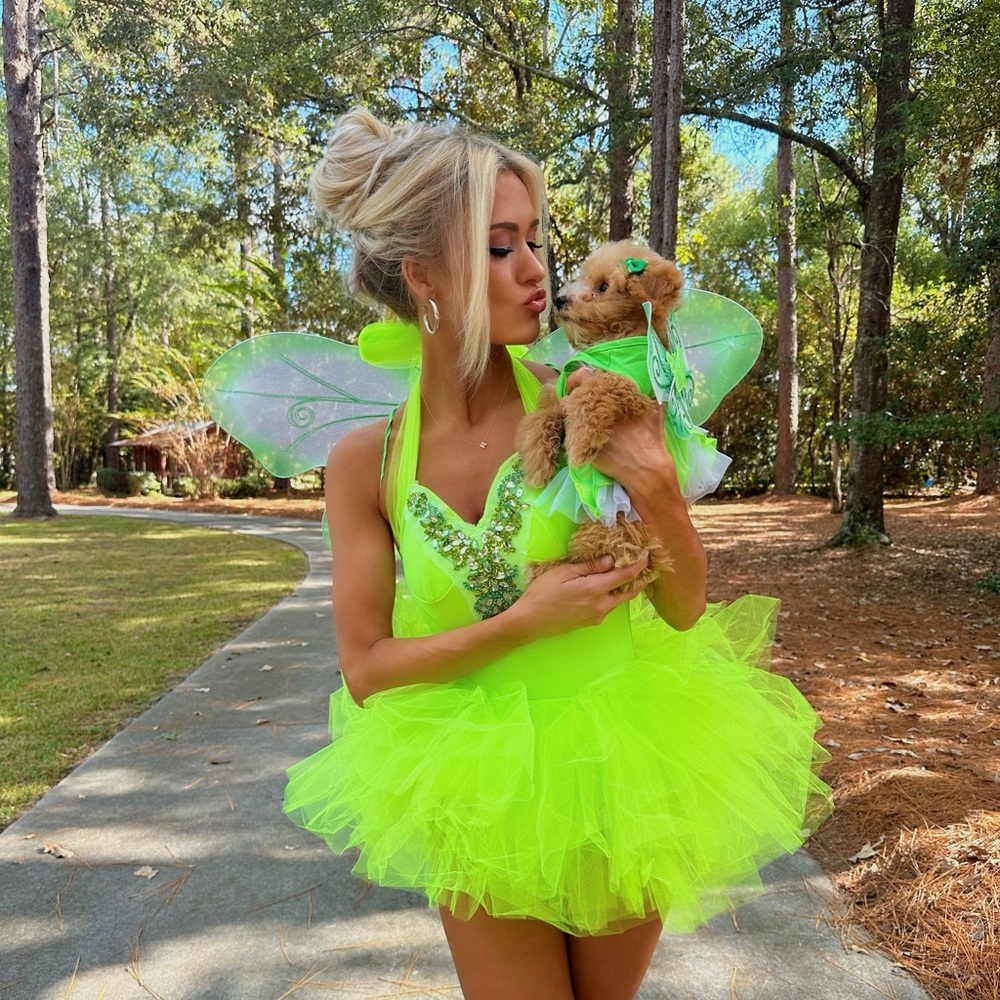 Fairy three piece costume set